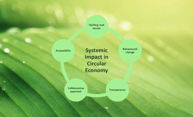 5 principles for systemic impact_report_1